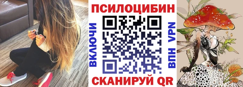 Галлюциногенные грибы Psilocybine cubensis  кракен ссылки  Кизел 